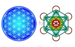 CS-42 Flower of Life (Blue) / Metatron's Cube